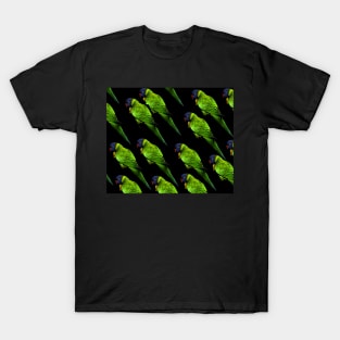 Parrot Love T-Shirt